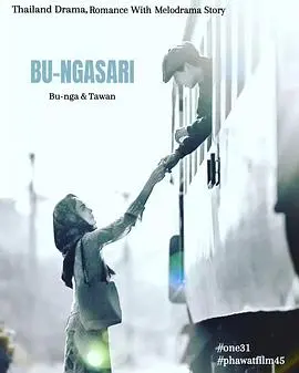 《垂花琴木》：在凋零中绽放的生命之歌，一段关于爱与救赎的感人故事