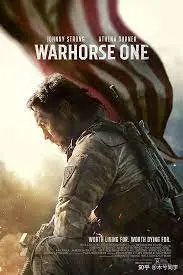 《战马一号》：惊心动魄的空中对决，铁血柔情下的生死守护与绝地反击